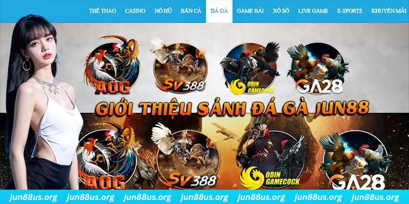 Giới thiệu thông tin quan trọng cần biết về chuyên mục đá gà